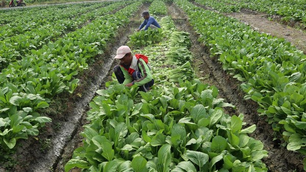 News API is a simple HTTP REST API for searching and retrieving live