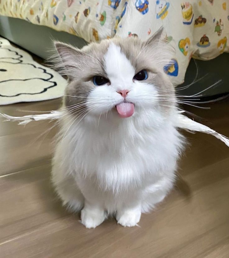 Learning to sit with my loneliness