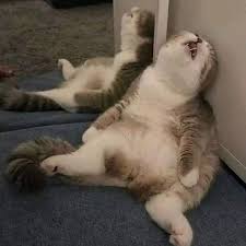 Gilbert Suka Makanan Enak dan Suka Beli Barang Mahal